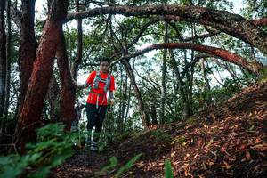 BIB: 
                            <button type="button" onclick="openModal(26344948)" class="btn btn-primary btn-sm float-right btn-popup" data-toggle="modal" data-target=".modal-high-quality">
                        <i class="fas fa-shopping-cart"></i> Add to Cart
                    </button>
                                            <button type="button" onclick="isThisMe(26344948, true)" class="btn btn-success btn-sm float-right btn-popup btn-isme hidden" data-toggle="tooltip" data-placement="bottom" title="นี่คือรูปของคุณใช่ไหม คลิกที่นี่เพื่อเอาเข้าอัลบั้ม">
                        <i class="fas fa-plus"></i> Add to album
                    </button>
                    <button type="button" onclick="isThisMe(26344948, false)" class="btn btn-warning btn-sm float-right btn-popup btn-isnotme hidden">
                        <i class="fas fa-ban"></i> Remove from album
                    </button>